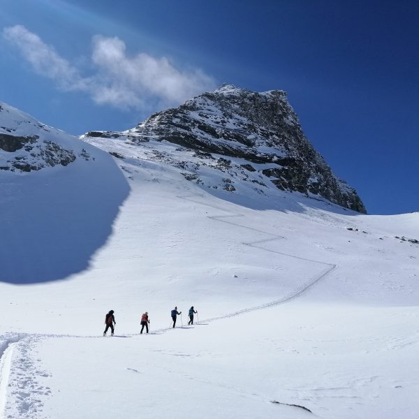 Sci alpinismo